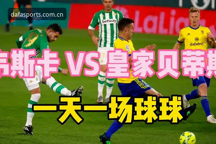 DAFA下载安装 DAFA下载安装 vs 大发体育平台体验:新手必看的选择指南与操作对比